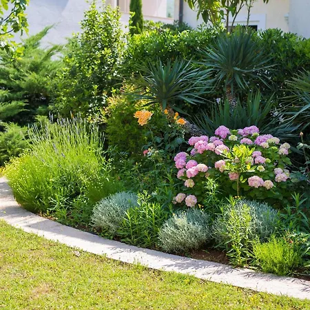 Appartement Apartment Punat Punat