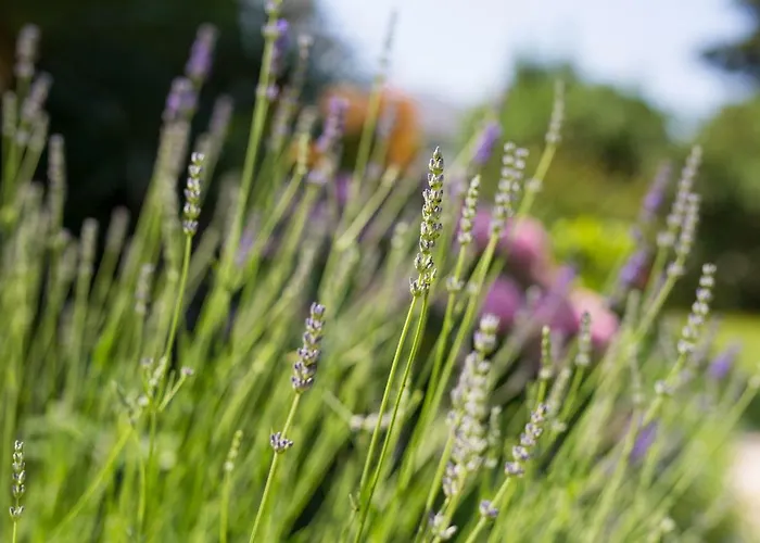 Appartement Apartment Punat *